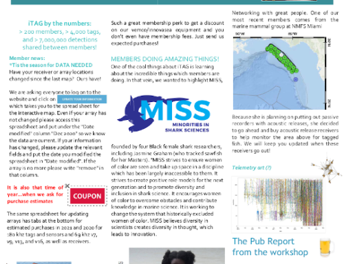 December 2020 Newsletter