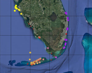 jack tagging locations