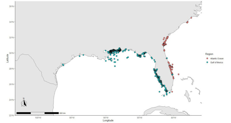 figure showing conventional tag and release sites of tripletail in the Gulf of Mexico and Atlantic